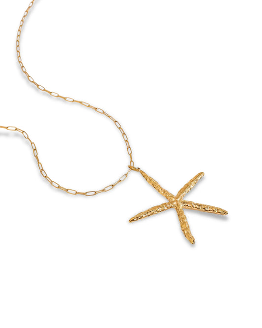 Estrellita de mar